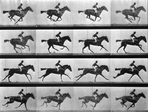 Grid of photographs of a mounted horse galloping